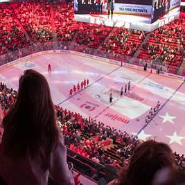 Red Wings hockey tickets